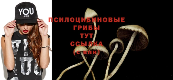 соль ск Туринск