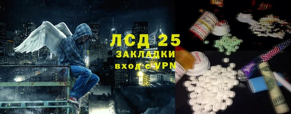 молекула духа Краснослободск