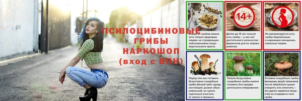 молекула духа Краснослободск