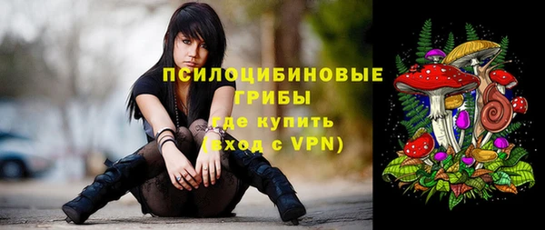 молекула духа Краснослободск